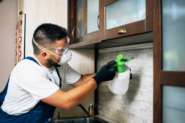 Best Local Pest Control Services  in Loxley, AL